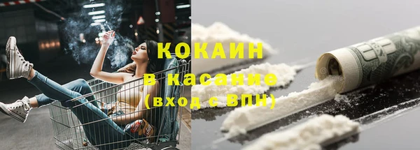 сатива Костерёво