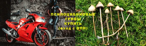 mdma Корсаков
