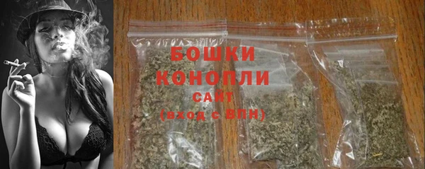 сатива Костерёво