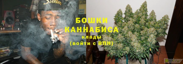 сатива Костерёво
