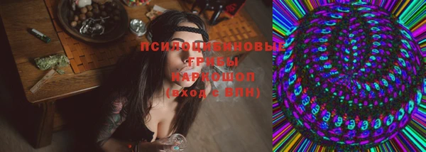 сатива Костерёво