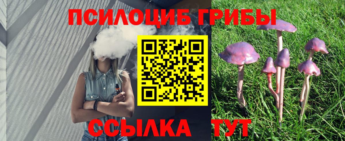 Псилоцибиновые грибы ЛСД Сочи